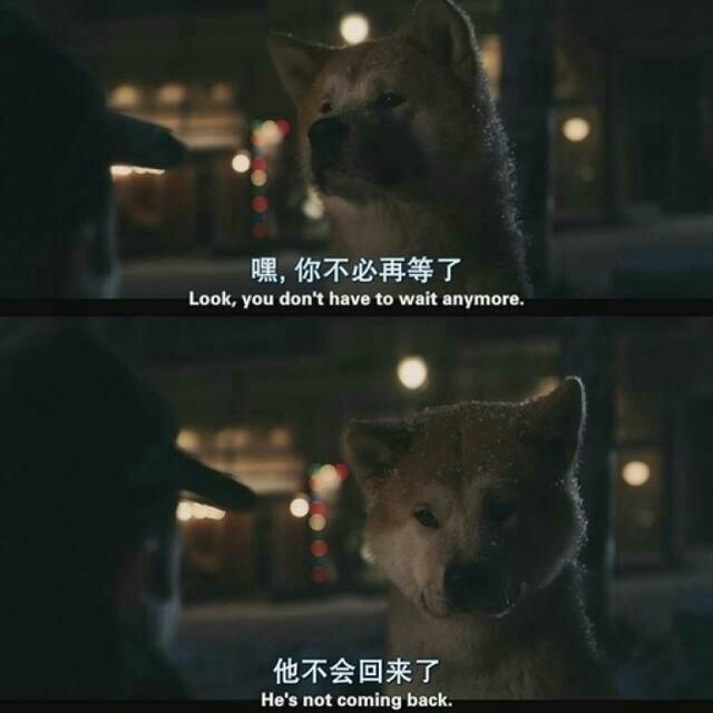 舔狗的爱情故事电影 18581746511482968.jpg