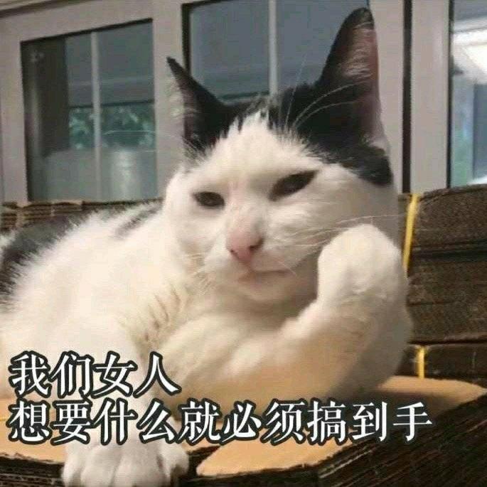 歌单封面