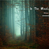 觰觰ZhAzHa - In The Woods