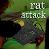 Isa - rat attack