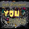 Audio Intelligence - You Down (aka Amnesia)