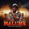 khubvi kid - Mafhungo (feat. Ramzeey, Pross Boy & Batondy)