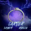 ZAYDEN THE ALIEN - CARTIER (feat. otoileo)