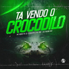 DJ KAUAN NK - Ta Vendo o Crocodilo