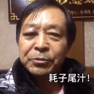 两只老虎爱跳舞 耗子尾汁