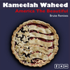 Kameelah Waheed - America the Beautiful (Bruise Instrumental)