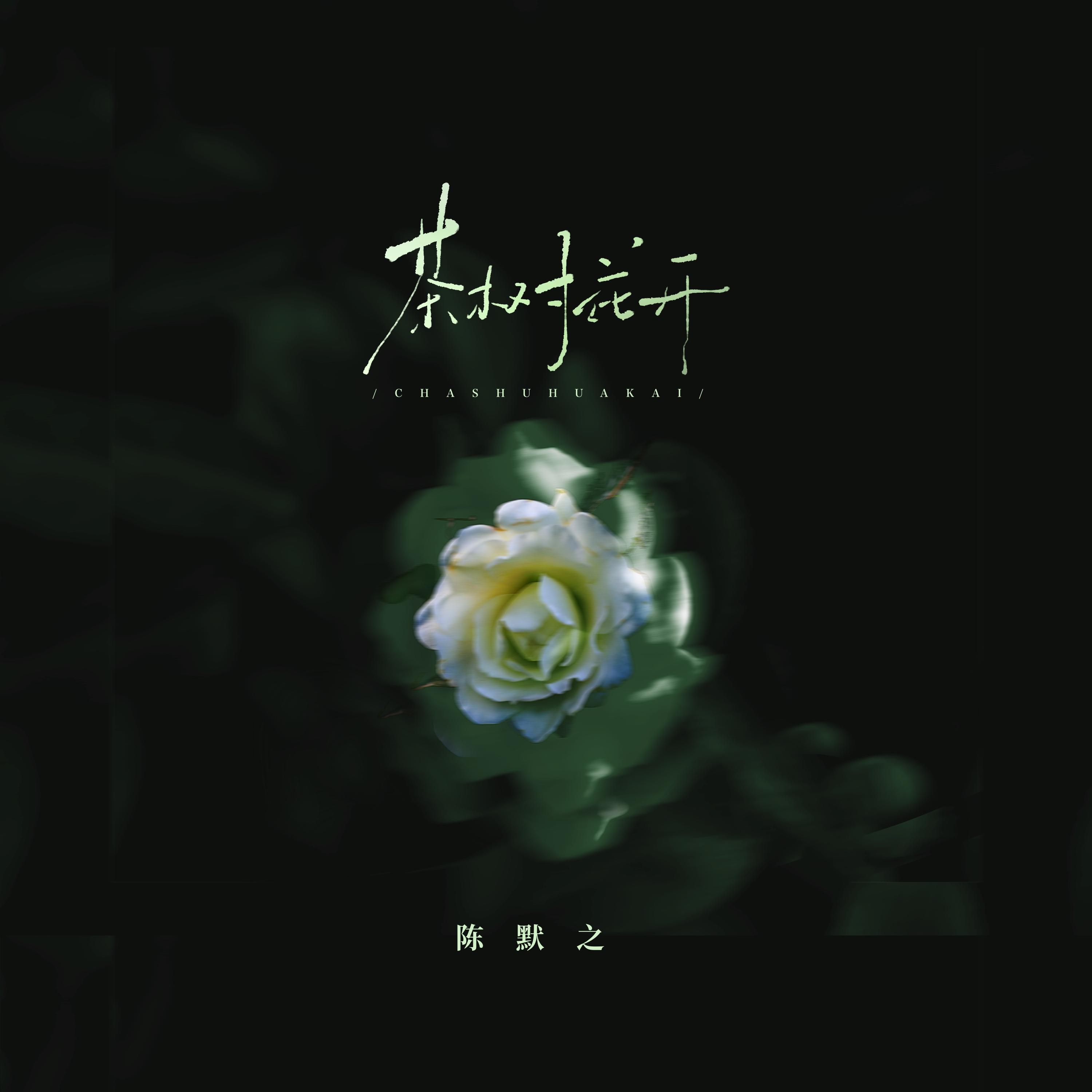 茶树花开 (伴奏)