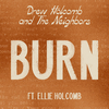 Drew Holcomb & The Neighbors - Burn