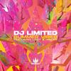 DJ Limited - Summer Vibes (Radio Edit)