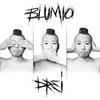 Blumio - Wir Träumen Gemeinsam Von Besseren Tagen