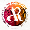 T.B. Mento - The Mating Ritual (Original Mix)