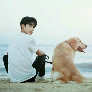 【粤语】世上总有傻瓜，在等枯树开花