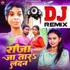 Dharmendra Patel - Raja Ja Tara London Dj Remix