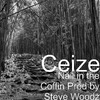 Ceize - Nail in the Coffin