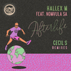 Hallex M - Afterlife (Hallex M & Cecil Remix)