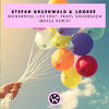 Stefan Gruenwald - Wonderful Life (BATEZ Extended Remix)