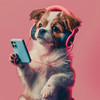 Música Para Dormir A Los Perros - Pulso Juguetón De Cachorro