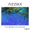 Fizzikx - Nature Discovery (Dub Mix)