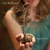 Dar Williams - The Easy Way