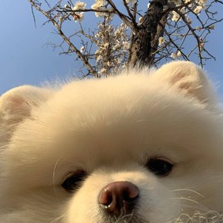 带给我快乐的人也要万事如意