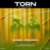 REZarin - Torn (Jamie Nugent Remix) [feat. Sam Welch]