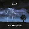S.A.L.T - After the Lightning