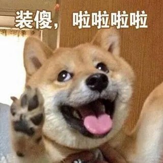 纯音杂食党，每首都有新鲜感（十二）