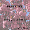 Strub Quartet - Bruckner: String Quintet WAB 112, 4. Finale - Lebhaft bewegt