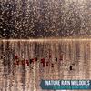 Misty Rain Sound Project - Idyllic Light Freezing Rain