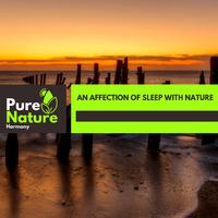 An Affection of Sleep With Nature