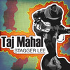 Taj Mahal - Instrumental
