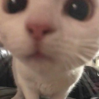 DaisyLi的想屁吃歌单/欲/se气/暗黑/性感