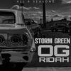 Storm Green - WHATS IT GONNA BE?