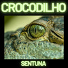 Sentuna - Crocodilho