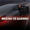 Leon - Mucho Te Querro