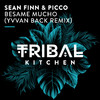 Sean Finn - Besame Mucho (Yvvan Back Remix)