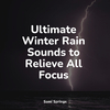 Sounds Of Nature : Thunderstorm - Rain Collection