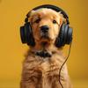 Music For Dogs Peace - Puppy Nap Tunes