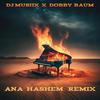 DJ MUSIIX - Ana Hashem (feat. Chana Ruchy) (Remix)