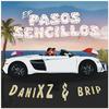 DaniXZ - Paseo (feat. Brip)