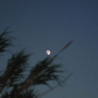 对世界说声晚安