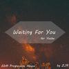 ZJR - Waiting For You