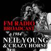Neil Young & Crazy Horse - Touch The Night (Live)
