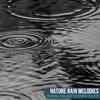 Rain Roots Nature Music - Musical Rain Aftermath