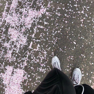 乄网易丶下架及无版权歌曲收录『更』