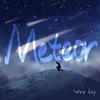 失踪男孩廖聊 - Meteor