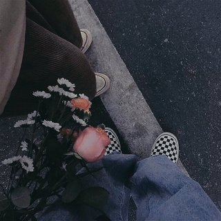 在自己的世界里闪闪发光✨