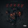 OTG - Sorry (feat. Sunnik, STiCK & Huncho Carter)