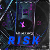 Lp Marcy - Risk