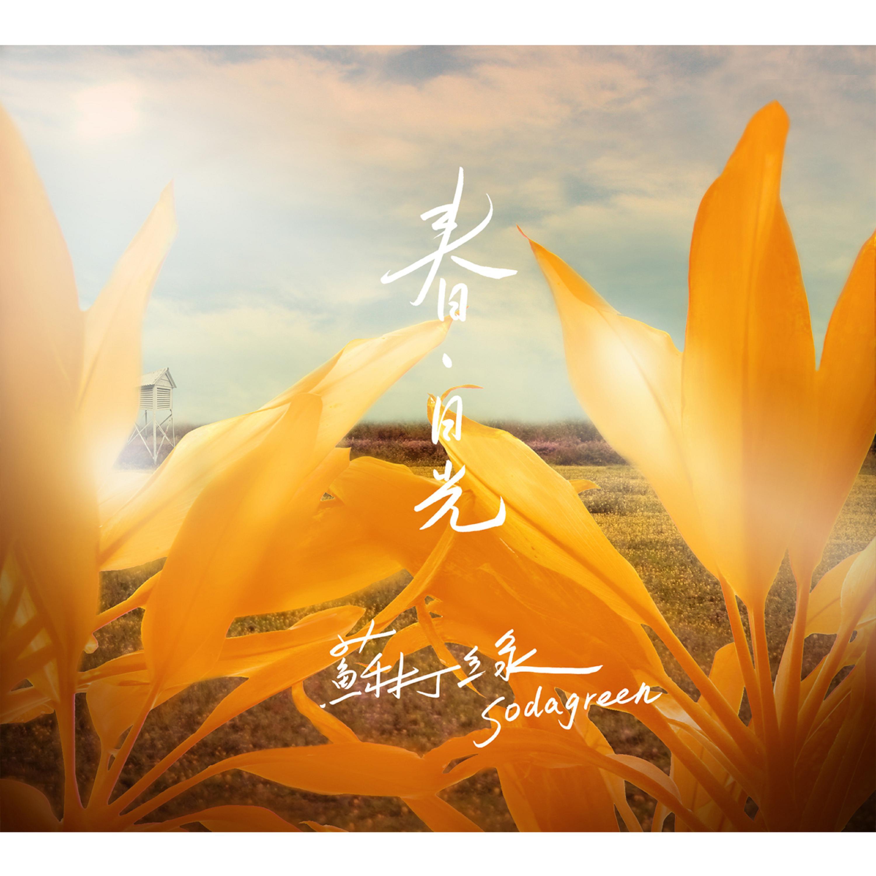 春·日光 封面